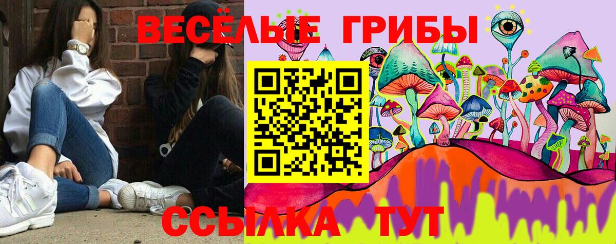Галлюциногенные грибы мицелий Лыткарино