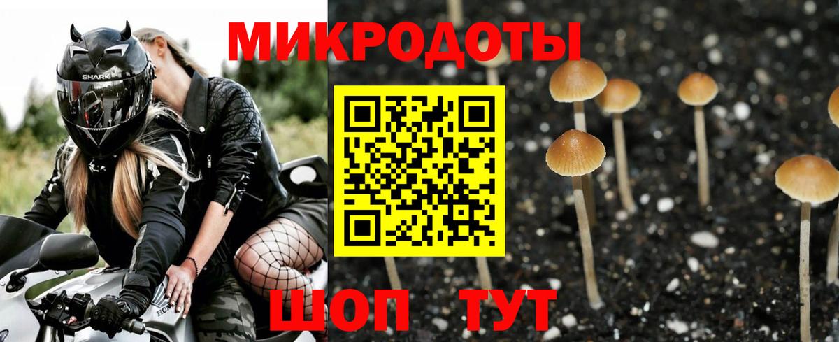Лыткарино  Псилоцибиновые грибы Psilocybe  где купить наркотик  Вход с VPN 
